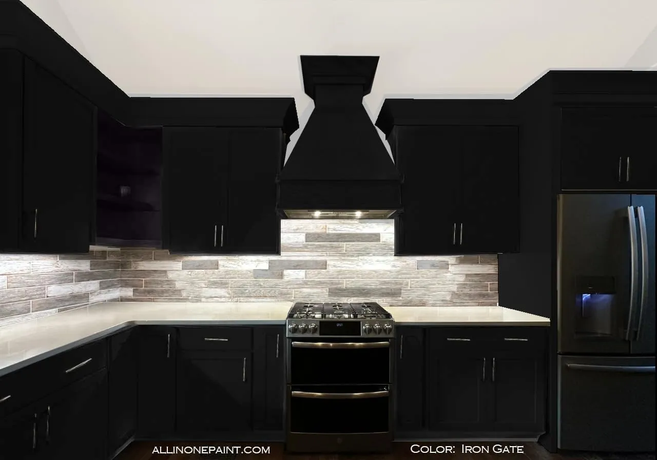 ALL-IN-ONE Paint, Durable cabinet and furniture paint. Built in primer and top coat, no sanding needed. Includes our 30 featured color card - Iron Gate, Quart