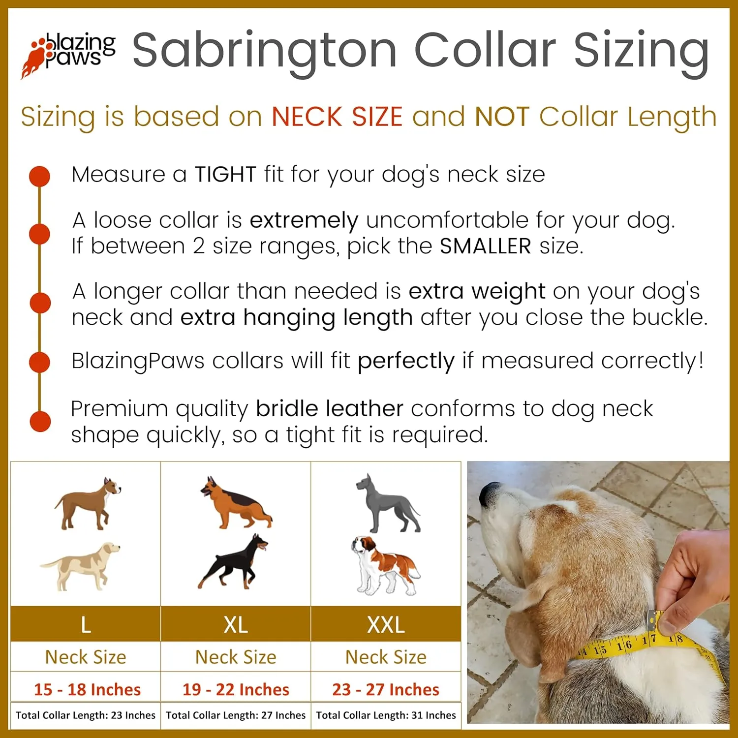 BlazingPaws® Sabrington 2 inch Wide Luxury Spike Leather Dog Collar for Large Dog, with Screw-on Spikes in Premium Brown Bridle Leather and Soft Suede Leather Padding (Neck Size: 23-27 Inches, Brown)