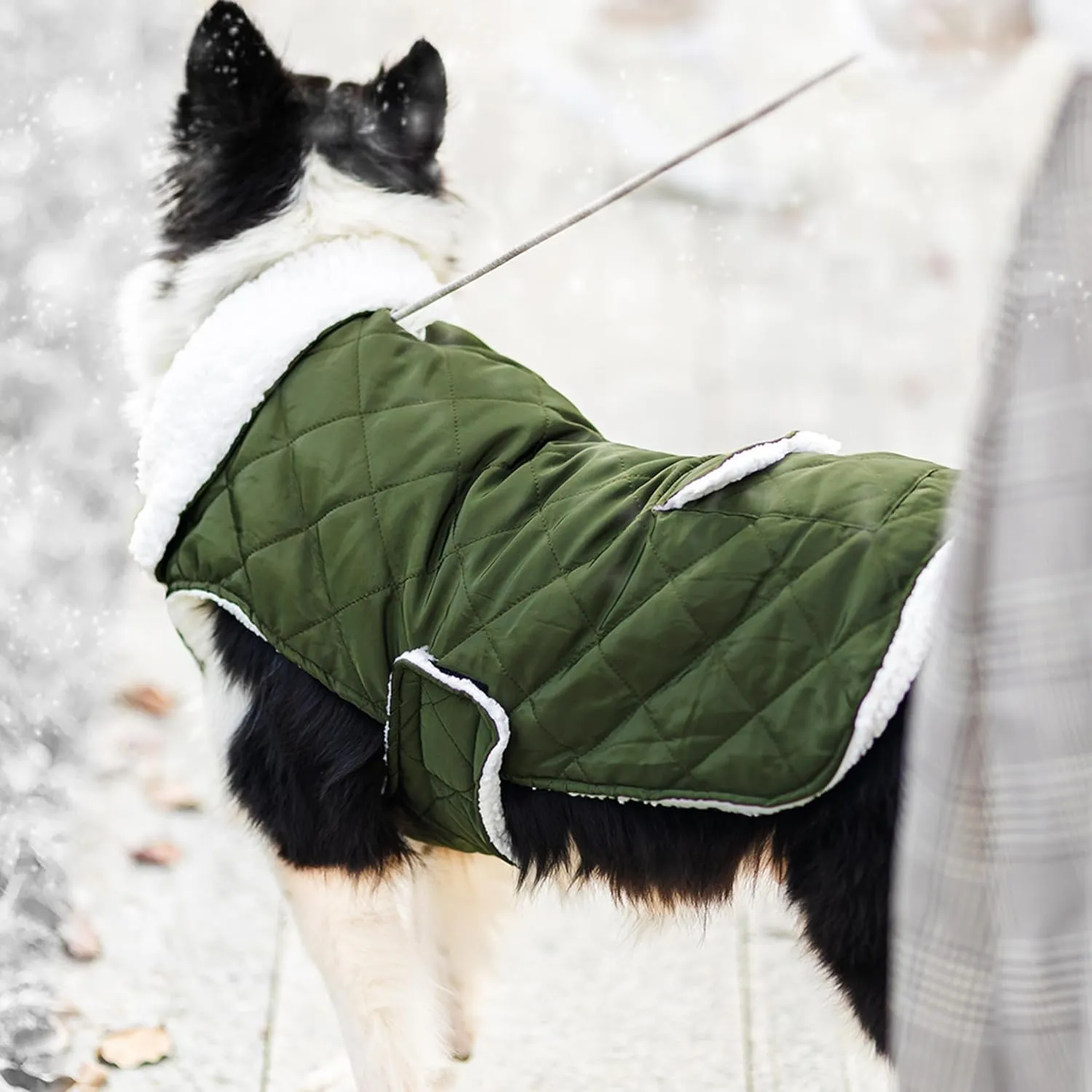 Dog Winter Coat - Windproof Fleece Warm Thick Dog Jacket Clothes for Snow Rainy Cold Weather - Green Pet Vest Coat Outfits for Small Medium Large Dogs - Indoor & Outdoor Use (S-XXL)