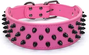 Dogs Kingdom Leather Black Spiked Studded Dog Collar 2" Wide, 31 Spikes 52 Studdeds Pit Bull, Boxer Collar Rose Red S
