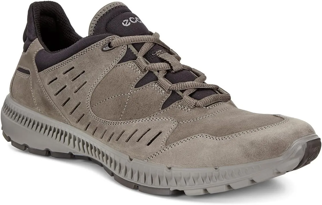 ECCO Men's Terrawalk Hiking Shoe