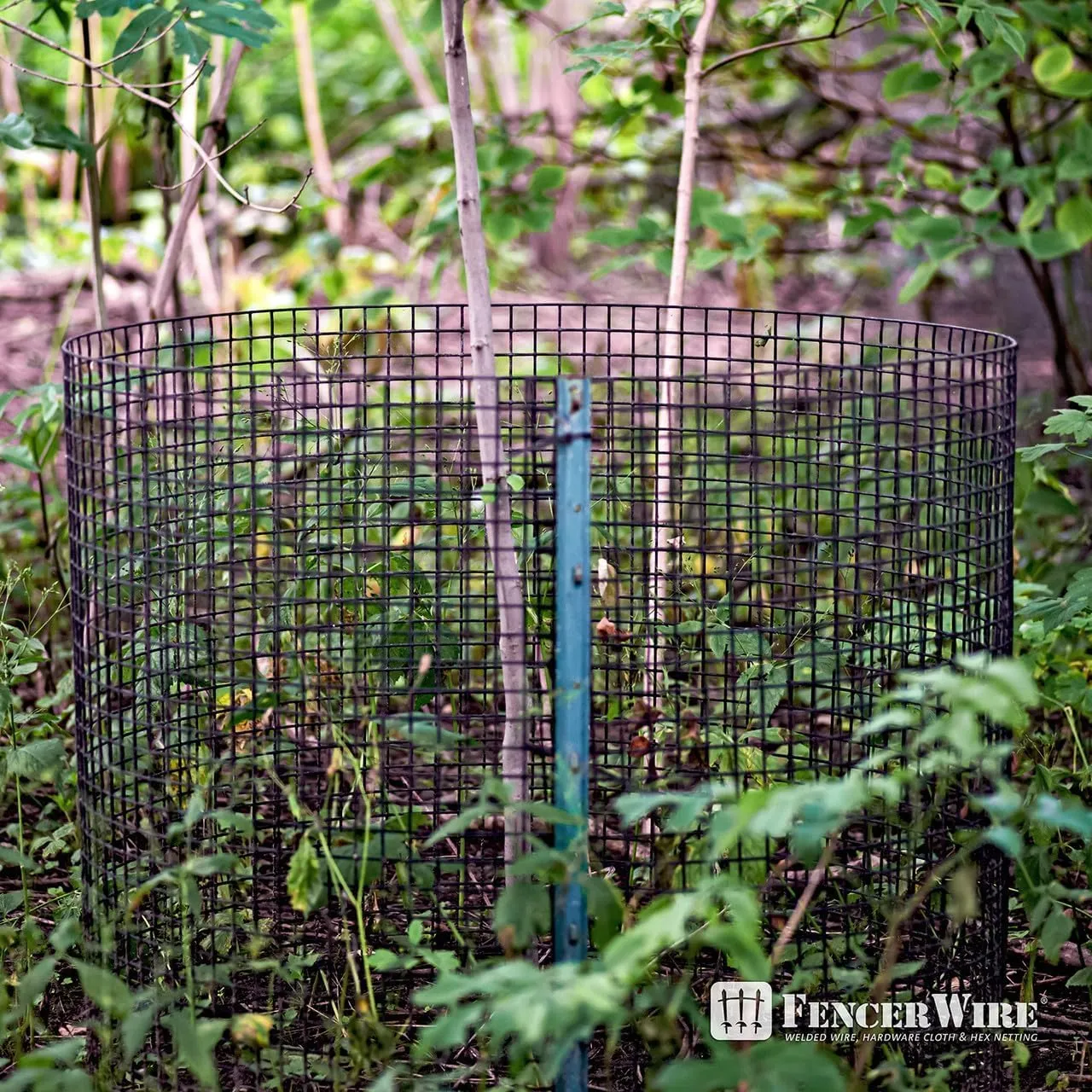 Fencer Wire Vinyl Coated 19 Gauge Welded Fence Wire Roll, Mesh Size 1/2-Inch x 1/2-Inch, Black Garden Fencing Wire Grid Hardware Cloth, Poultry Chicken Fence Rolls (4ft. x 100ft.)