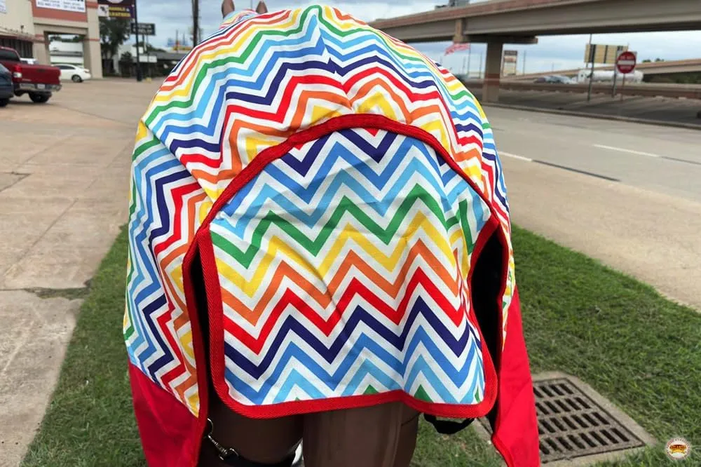 HILASON 1200D Winter Waterproof Poly Horse Hood Turnout Neck Blanket Belly Wrap Rainbow Zigzag | Horse Blanket | Horse Turnout Blanket | Waterproof Turnout Blankets for Horses