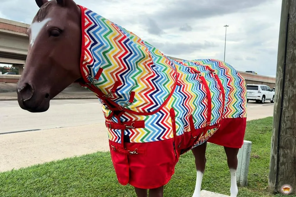 HILASON 1200D Winter Waterproof Poly Horse Hood Turnout Neck Blanket Belly Wrap Rainbow Zigzag | Horse Blanket | Horse Turnout Blanket | Waterproof Turnout Blankets for Horses