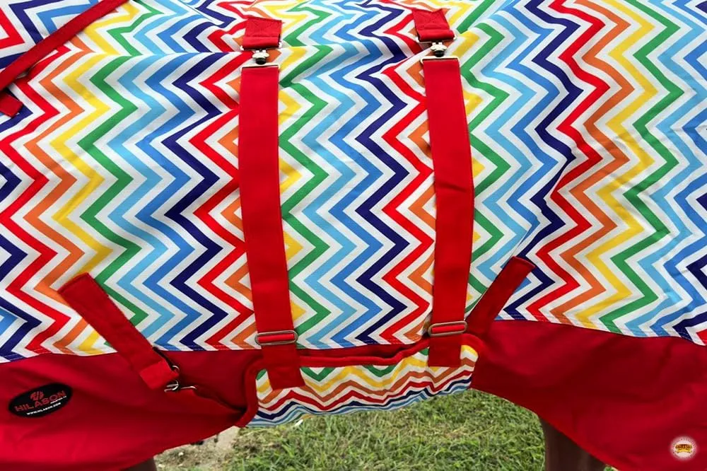 HILASON 1200D Winter Waterproof Poly Horse Hood Turnout Neck Blanket Belly Wrap Rainbow Zigzag | Horse Blanket | Horse Turnout Blanket | Waterproof Turnout Blankets for Horses