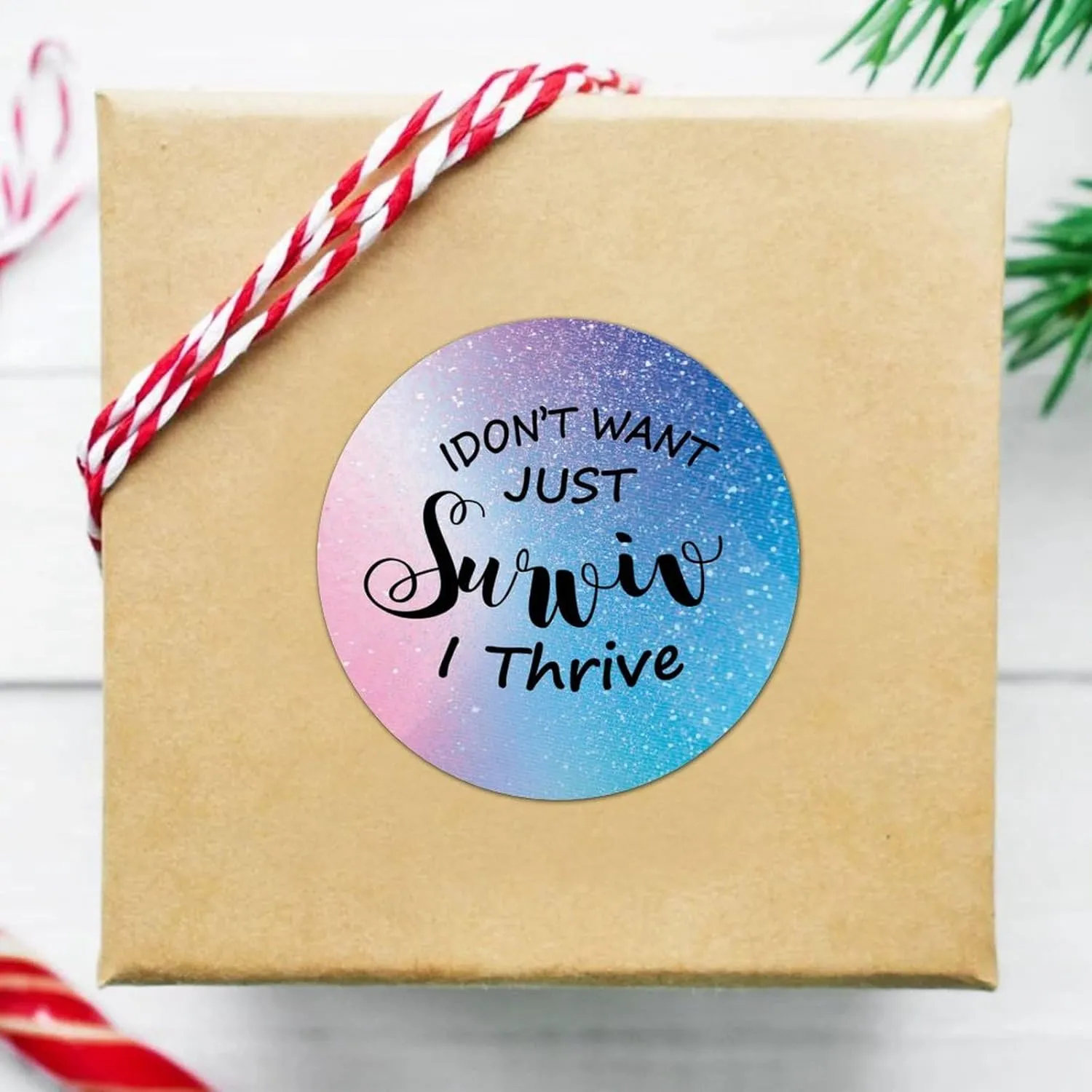 I Dont Just SurviveI Thrive Novelty Labels Stickers,Quote Sticker for Laptop Envelope Seals Jar Water Bottles Goodie Bags Decoration Wedding Xmas Holiday Party Favors Gifts 3"