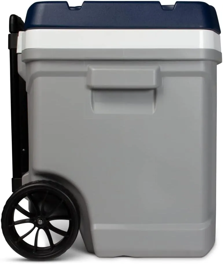 Igloo Maxcold Hard Coolers (40-62QT)