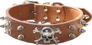 Spiked Leather Dog Collar, 2 Rows Bullet Rivets Studded PU Leather, Cool Skull Pet Collar for Medium and Large Dogs (L, Brown)