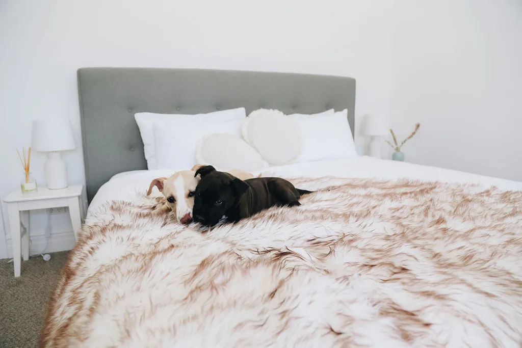 Splash Waterproof Faux Fur Collection - Arctic