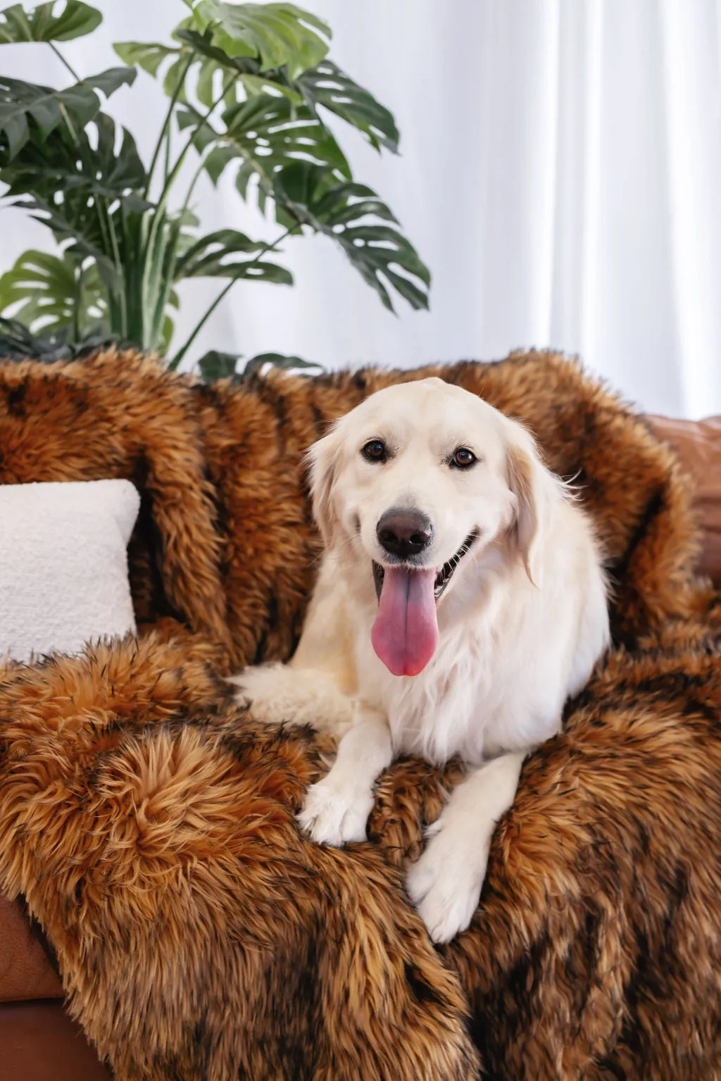 Splash Waterproof Faux Fur Collection - Viking
