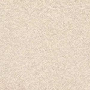 Superior Marine Vinyl: Tortilla