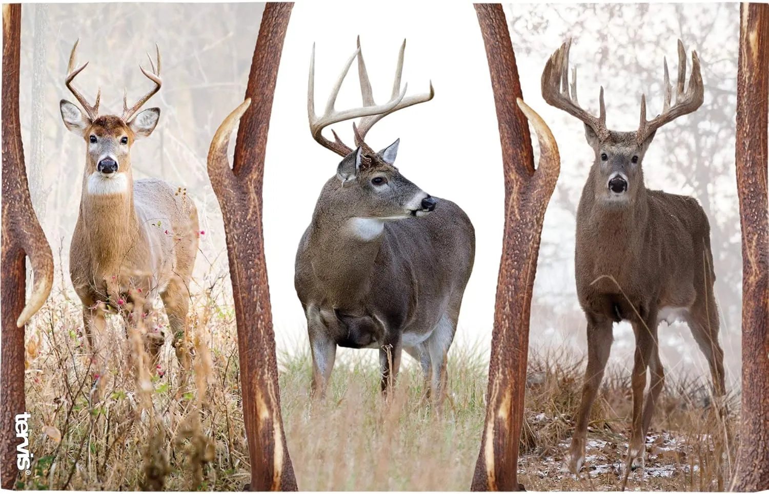 Tervis Deer Trio Made in USA Double Walled Insulated Tumbler Travel Cup Keeps Drinks Cold & Hot, 16oz, Classic