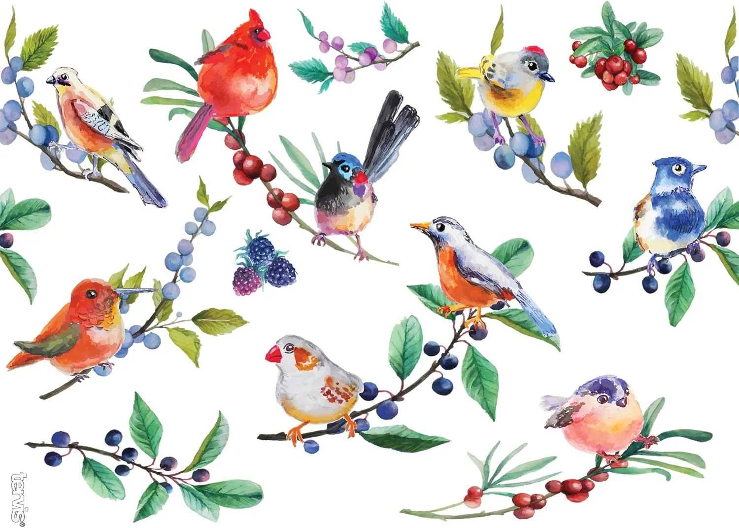 Tervis Watercolor Songbirds Made in USA Double Walled Insulated Tumbler Cup Keeps Drinks Cold & Hot, 24oz, Clear
