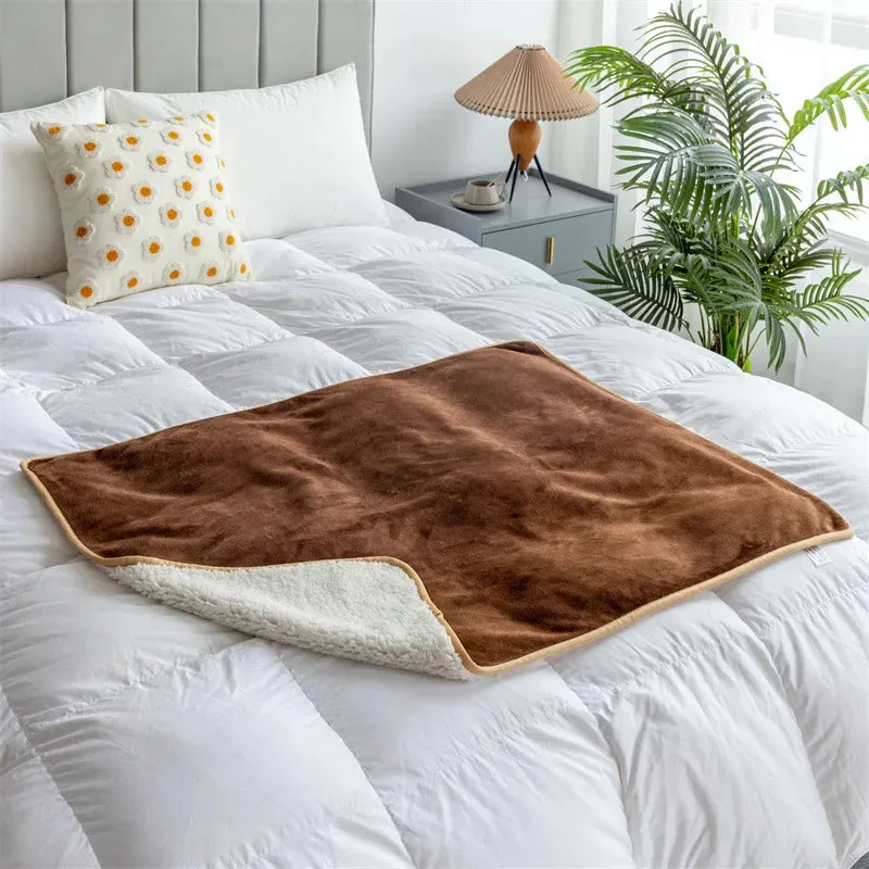 WaterPaw Waterproof Blanket