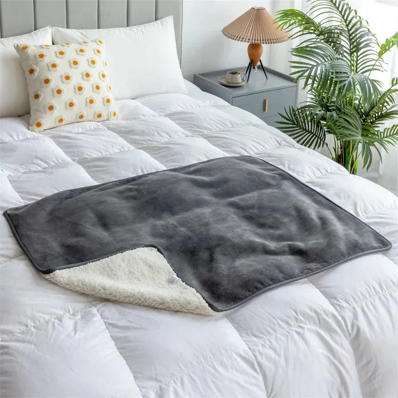 WaterPaw Waterproof Blanket