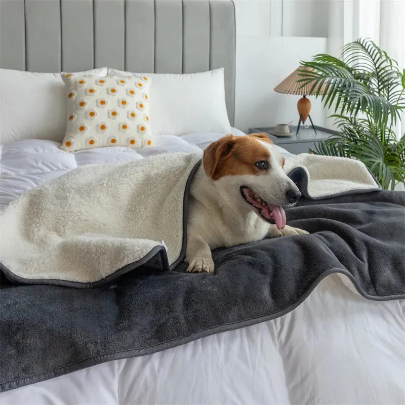 WaterPaw Waterproof Blanket