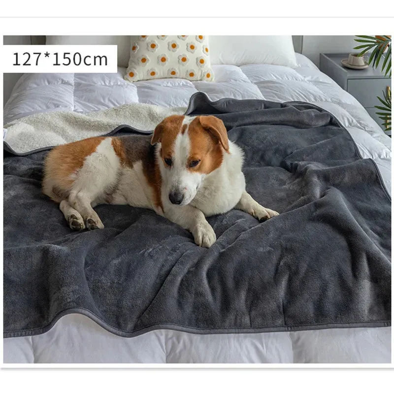 WaterPaw Waterproof Blanket