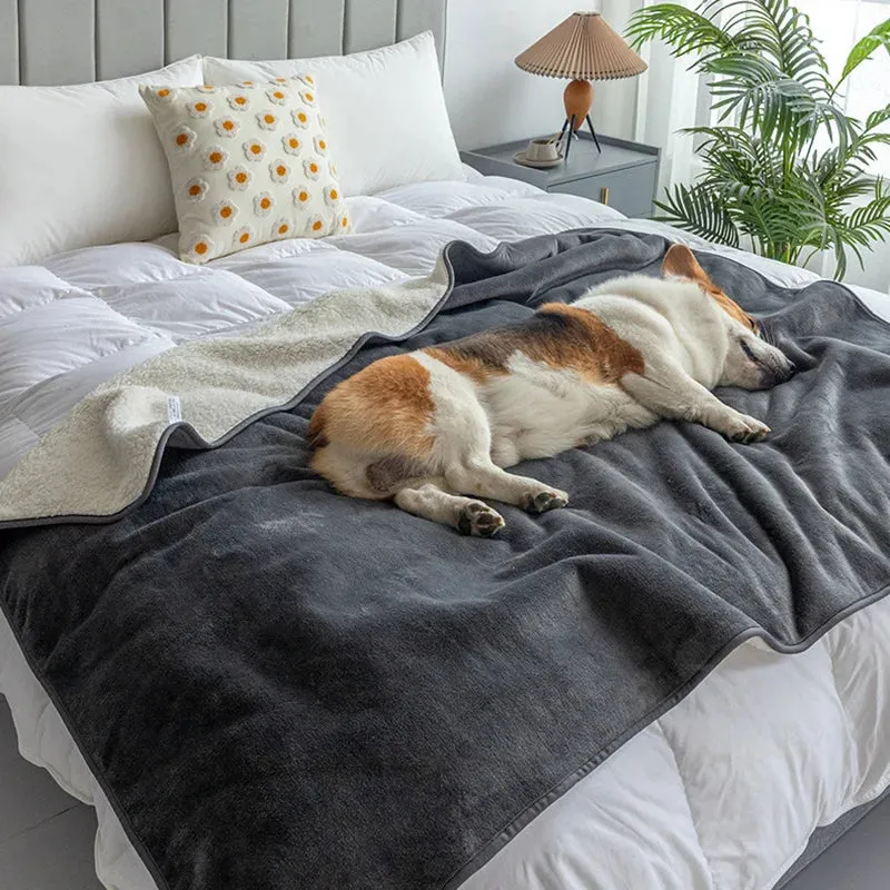 WaterPaw Waterproof Blanket