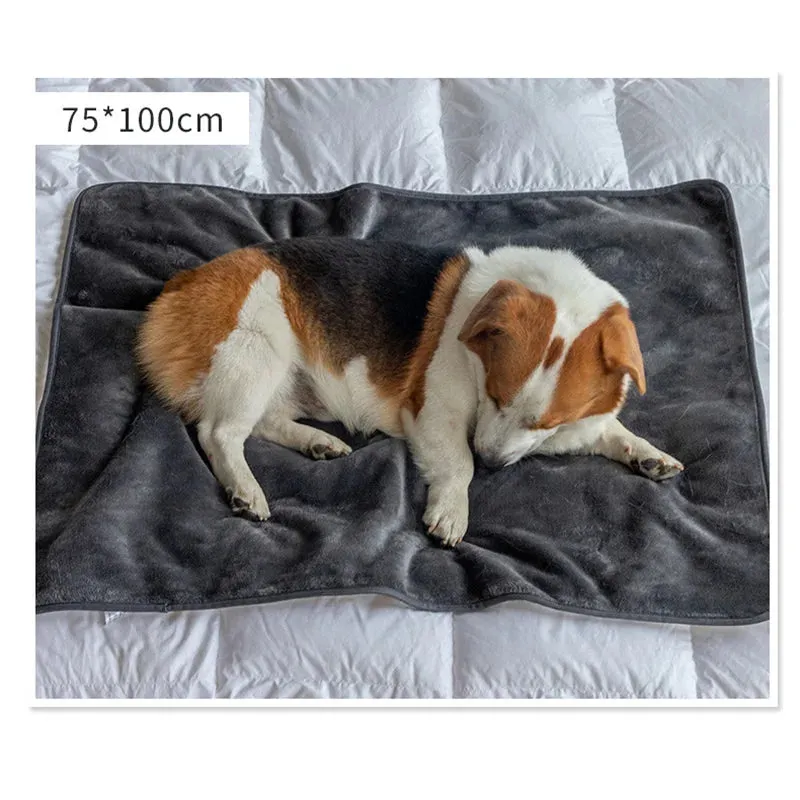 WaterPaw Waterproof Blanket